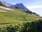 IMG-20230618-WA0022