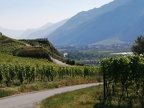 IMG-20230618-WA0028