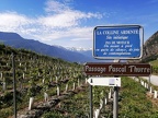 IMG-20230618-WA0027