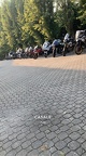 IMG-20240825-WA0019