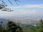 IMG-20240920-WA0013