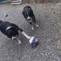 IMG-20240918-WA0026