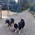 IMG-20240918-WA0027